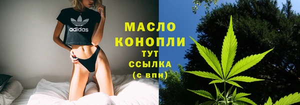 индика Карталы