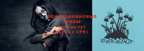 мдма Каменка
