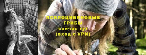 амф Карпинск