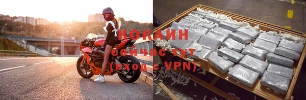 индика Карталы